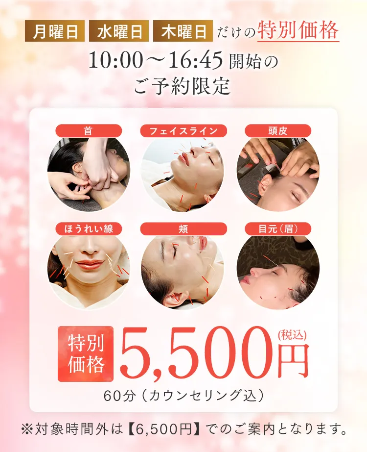 特別価格5,500円