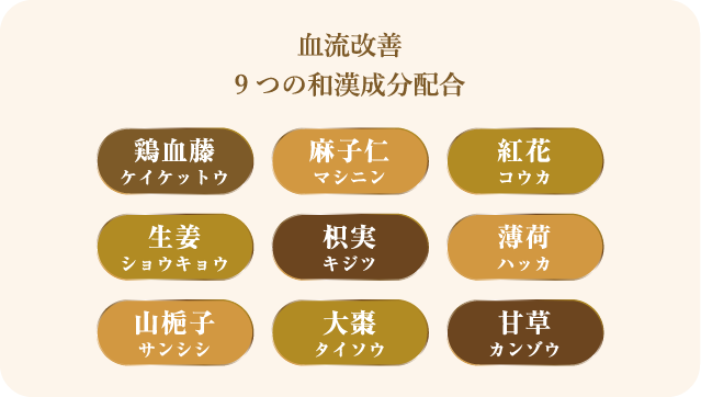 血流改善 9つの和漢成分配合