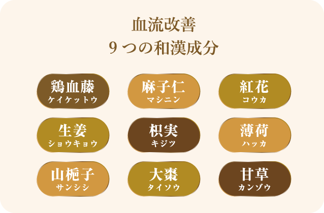 血流改善 9つの和漢成分配合